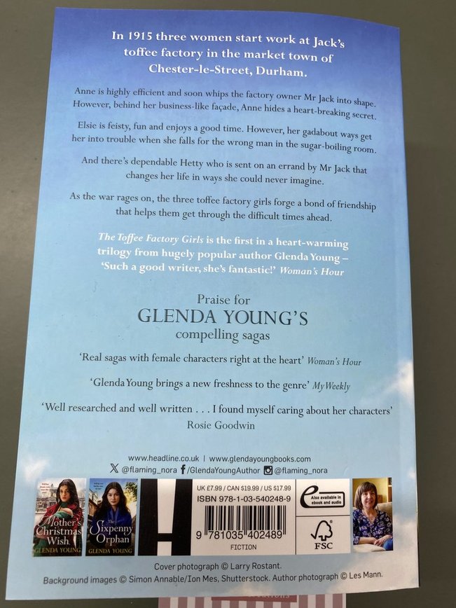 The Toffee Factory Girls Book